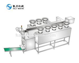 Automatische Lego Bricks Verpackungsmaschine